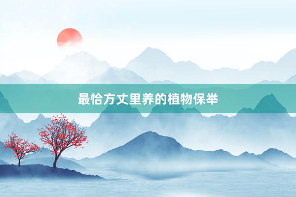 最恰方丈里养的植物保举