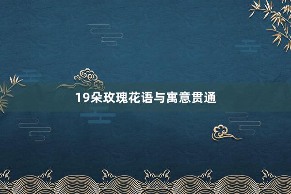 19朵玫瑰花语与寓意贯通