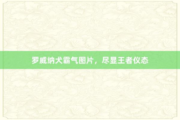 罗威纳犬霸气图片，尽显王者仪态