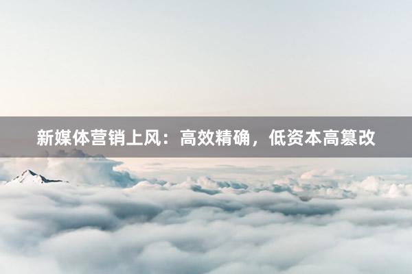 新媒体营销上风：高效精确，低资本高篡改