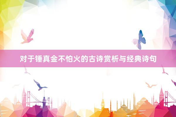 对于锤真金不怕火的古诗赏析与经典诗句